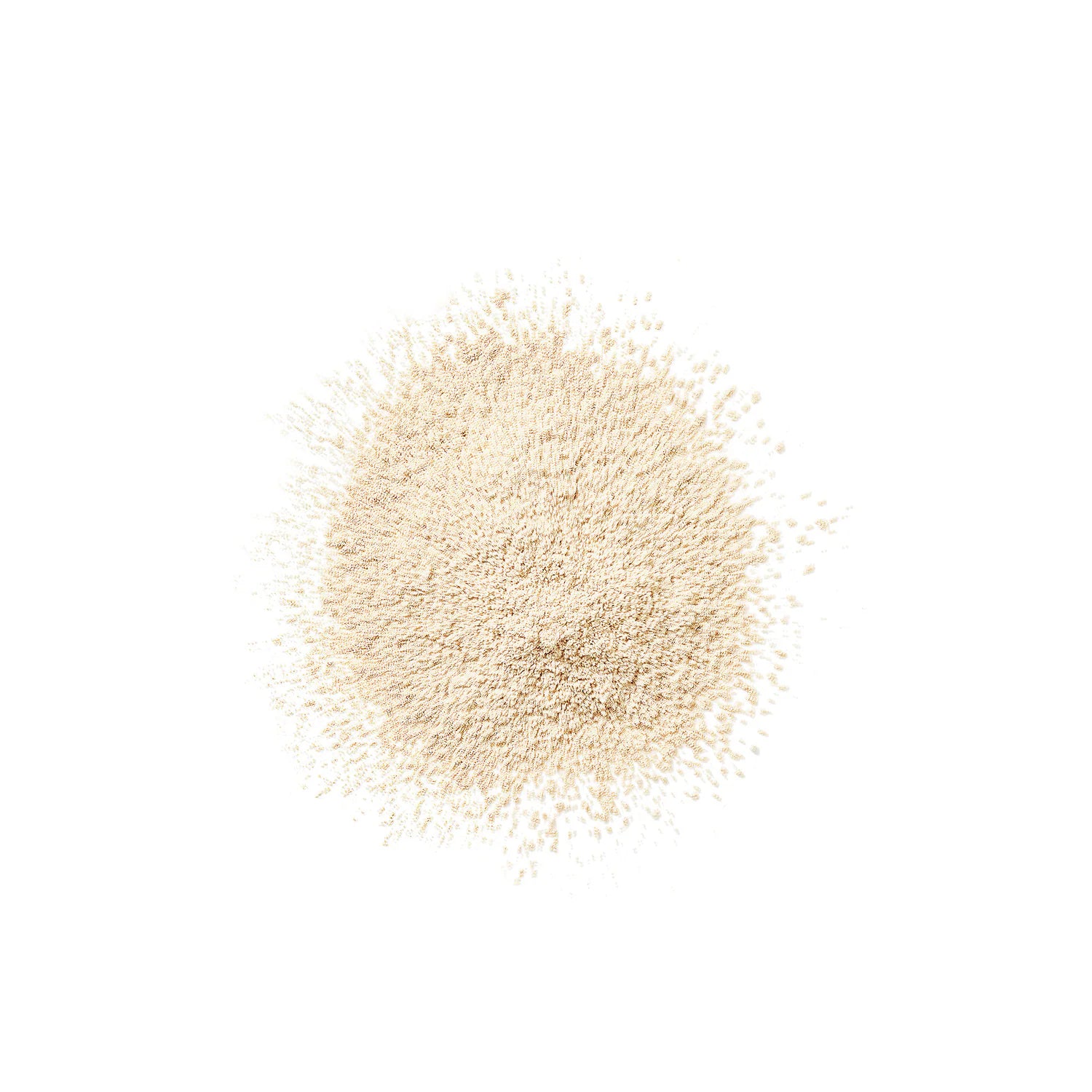 Blended Face Powder - Image 3