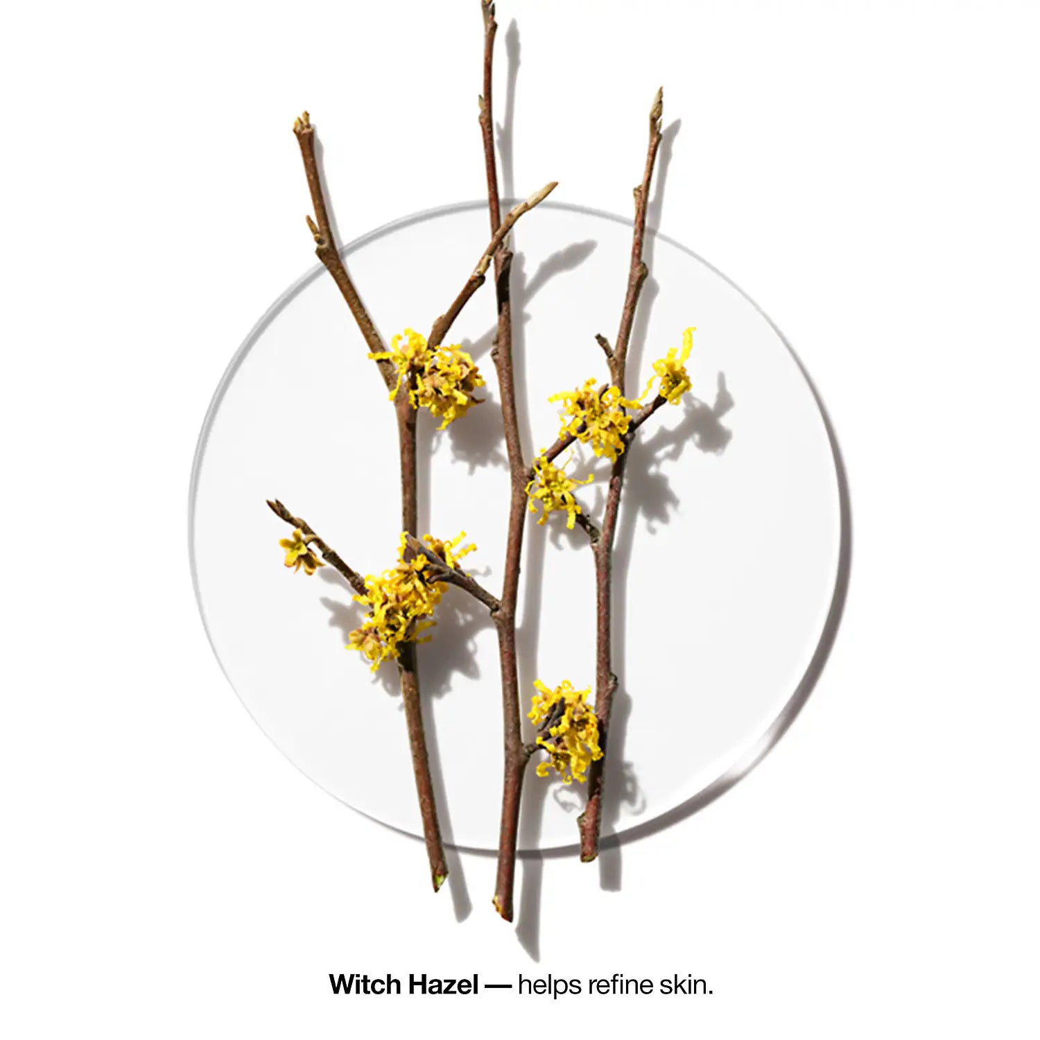 Clarifying Lotion 3 - Image 4